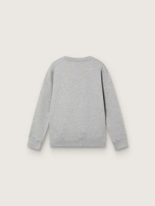 Journey crew neck sweatshirt for boys in gray melange cotton with mascot print online