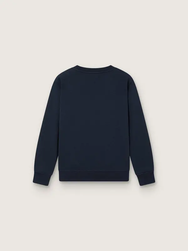 Journey crew neck sweatshirt for boys in navy blue cotton with mascot print online